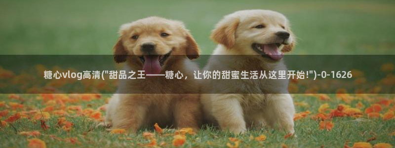 txvlogcom糖心出品