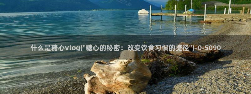 糖心vlog破解版免费