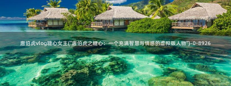 心糖vlog记录