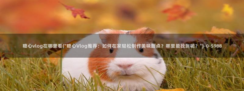 糖心vlog精产国品免：糖心vlog在哪里看(\