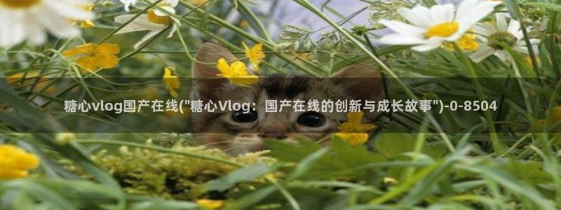 糖心vlog破解版官网：糖心vlog国产在线(\