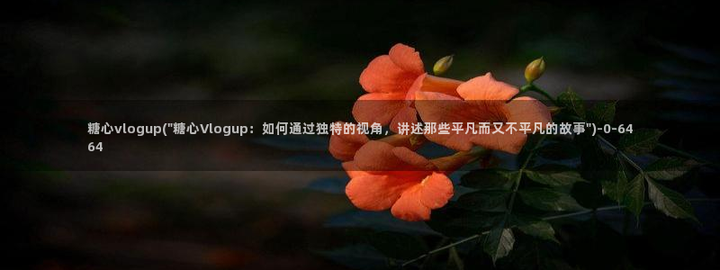 糖心vlog视频免费：糖心vlogup(\