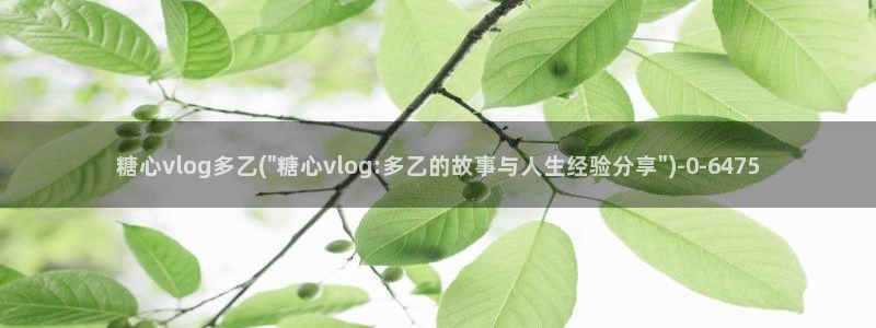 糖心vlog在线观看网站：糖心vlog多乙(\