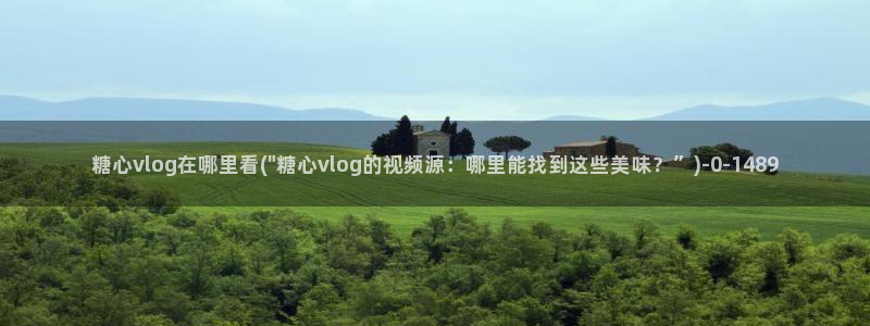 糖心vlog是一个怎么样的app