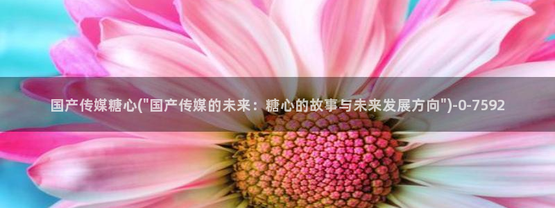 糖心vlog网址入口