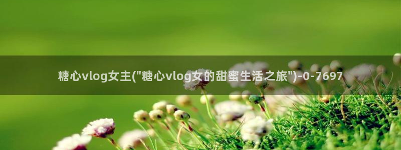 糖心vlog网页版免费观看 度