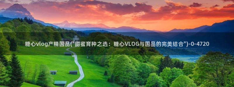 糖心vlog进入在线